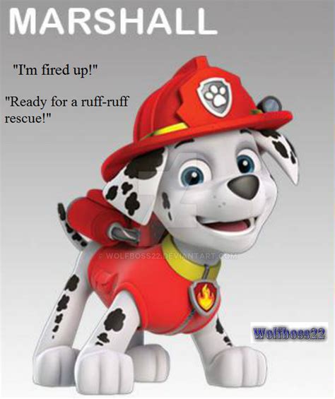 Now on DVDGet ready to raise the woof with Rubble and the rest of the <strong>PAW Patrol</strong> in these 9 construction missions! Whether they’re saving animals, superheroe. . What does marshall say on paw patrol